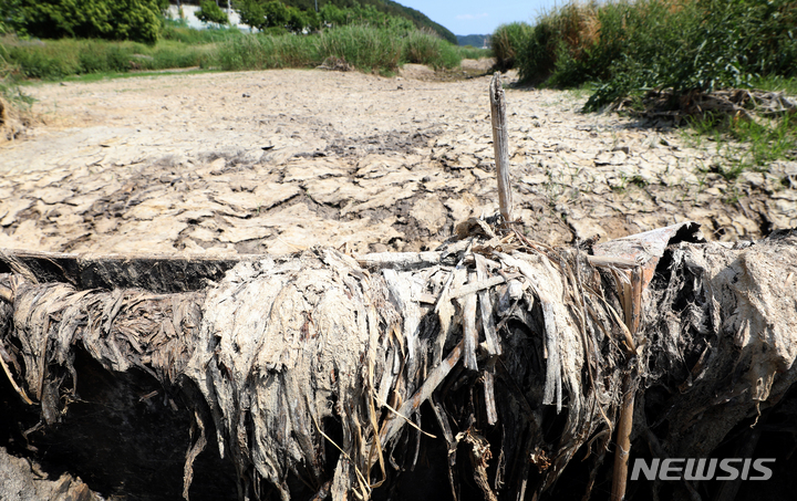 [세종=뉴시스] 강종민 기자 = 기후변화 영향 등으로 봄철 가뭄과 건조한 날씨가 이어진 2일 세종시 소정면의 한 하천이 바짝 말라붙어 있다. 2022.06.02. ppkjm@newsis.com