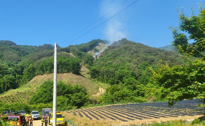 제천 백운산 산불 *재판매 및 DB 금지