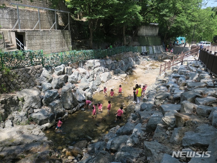 3일 오후 경기 남양주시 청학밸리리조트에서 유치원 아이들이 계곡물에 발을 담구며 즐거운 시간을 보내고 있다. 2022.06.03. jungxgold@newsis.com.