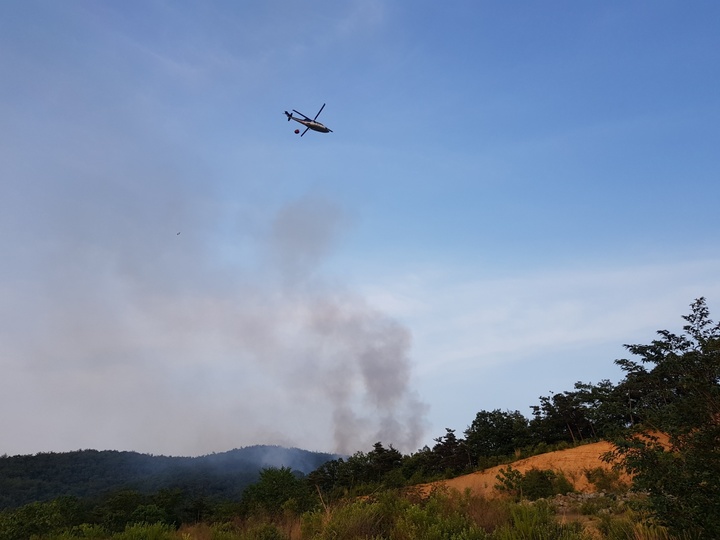 [울산=뉴시스] 박수지 기자 =3일 오후 울산시 울주군 삼동면 작동리 산770번지 일원에서 불이나 헬기가 진화작업 중이다. 2022.06.03. (사진=울산소방본부 제공) photo@newsis.com *재판매 및 DB 금지