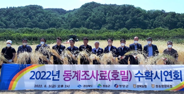 [안동=뉴시스] 지난 3일 청송군 파천면에서 조사료 생산 시연회가 열리고 있다. (사진=경북도 제공) 2022.06.06 *재판매 및 DB 금지