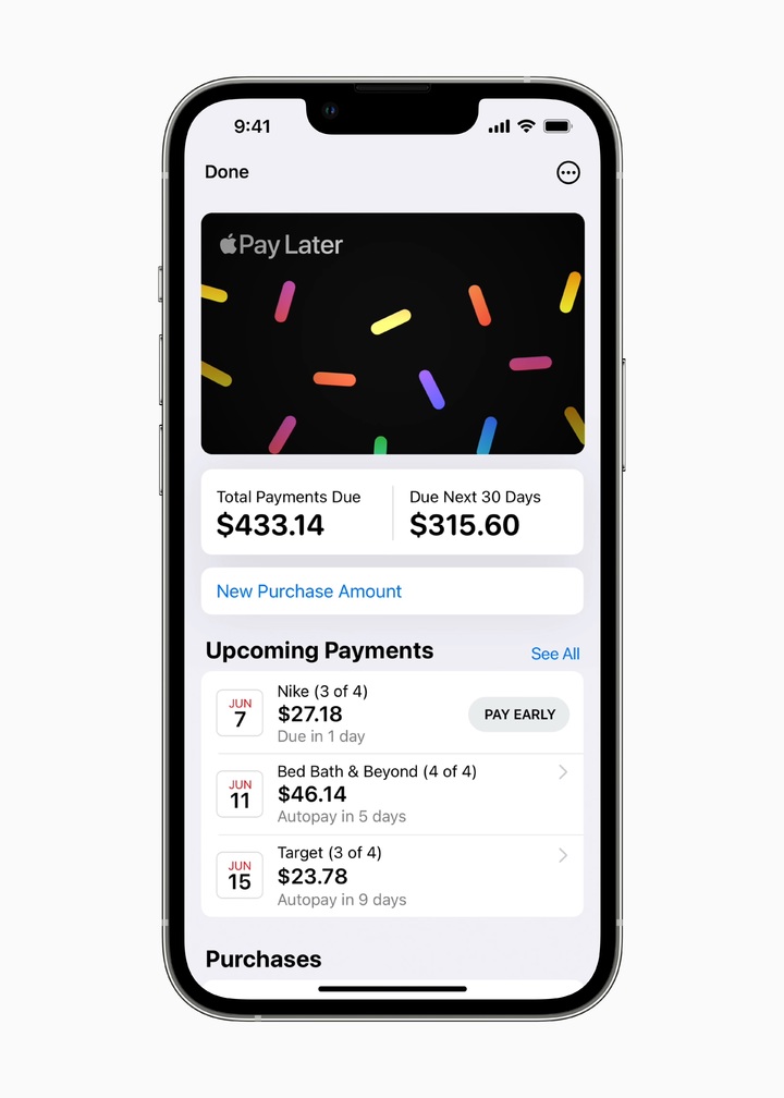 iOS 16의 주요 업데이트 사항 중 하나인 '애플 페이 레이터(Apple Pay Later)' 사용 예시. (사진=애플 제공) *재판매 및 DB 금지