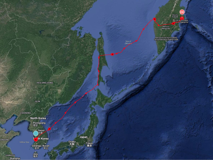 [서울=뉴시스] 유부도-사할린-캄차카반도까지의 알락꼬리마도요 이동루트. *재판매 및 DB 금지