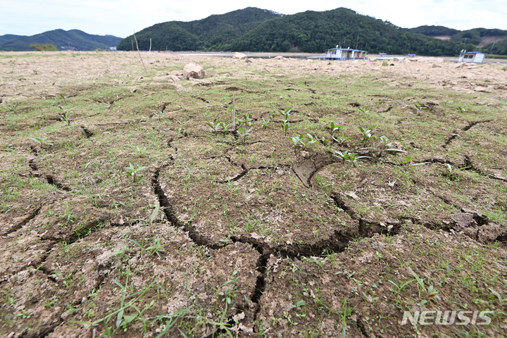 [용인=뉴시스] 지난 7일 오후 경기도 용인시 이동저수지가 이어지는 봄가뭄과 농번기 농업용수 이용 증가로 바닥이 갈라져 있다. 2022.06.07. jtk@newsis.com