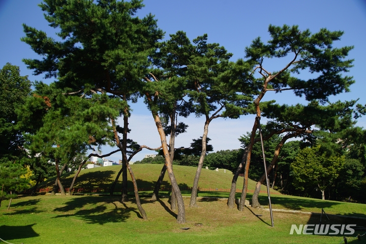 [서울=뉴시스] 조선왕릉 선릉 재실과 숲길에서 11~18일 '선릉에서 만나는 한복 입기' 행사가 열린다. 사진은 선릉. (사진=문화재청 제공) 2022.06.09. photo@newsis.com *재판매 및 DB 금지