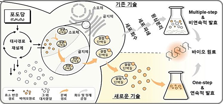 [대전=뉴시스] 기존에 세포를 파괴·분해 후 추출까지 여러 단계를 거치던 것을 화학연 공동연구팀은 하나의 자동화된 단계로 구현했다. 이 기술은 연속 발효 공정이 가능해 바이오원료의 생산량을 늘리는 데 효과적이다. *재판매 및 DB 금지