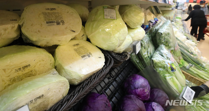 [서울=뉴시스] 조수정 기자 = 13일 통계청 국가통계포털에 따르면 지난 달 농축수산물 소비자 물가가 전년 동월 대비 0.2% 상승, 그중 양배추(54.6%), 감자(31.3%), 무(31.3%) 등의 상승률이 높았다. 13일 서울 시내 한 마트에서 양배추가 진열돼 있다. 2022.06.13. chocrystal@newsis.com