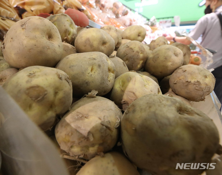 [서울=뉴시스] 조수정 기자 =서울 시내 한 마트에서 감자가 진열돼 있다. 2022.06.13. chocrystal@newsis.com