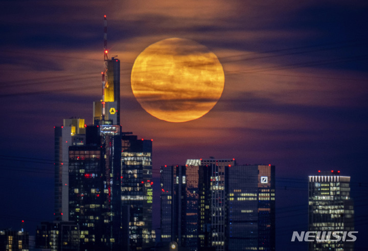 [프랑크푸르트=AP/뉴시스] 14일(현지시간) 독일 프랑크푸르트 은행가의 건물 뒤로 슈퍼문이 떠오르고 있다. 달이 지구와 가까워 발생하는 '슈퍼문' 보름달은 6월에는 '스트로베리 문'(Strawberry Moon)이라고도 불린다. 2022.06.15.