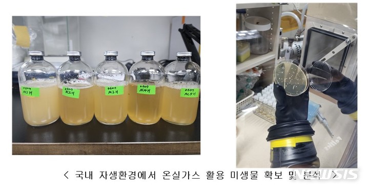 [서울=뉴시스]국내 자생환경에서 온실가스 활용 미생물 확보 및 분석(사진=국립생물자원관 제공)