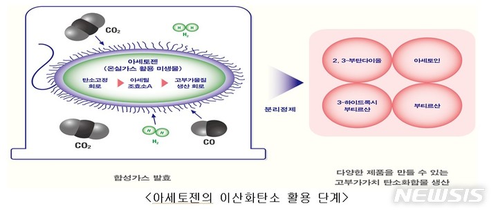 [서울=뉴시스]아세토젠의 이산화탄소 활용 단계(자료=국립생물자원관 제공)