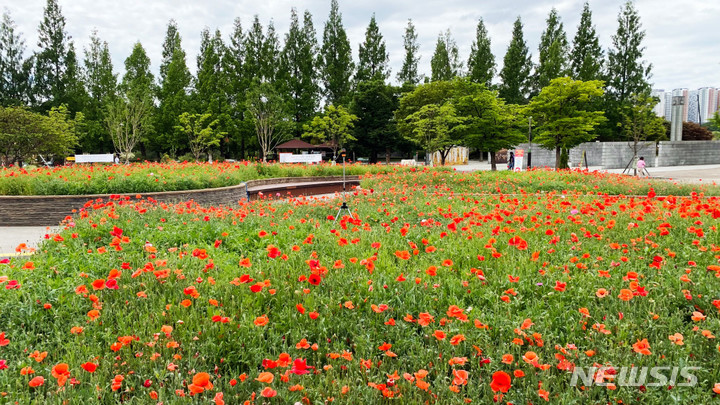 (재)고양국제꽃박람회 야외 정원.