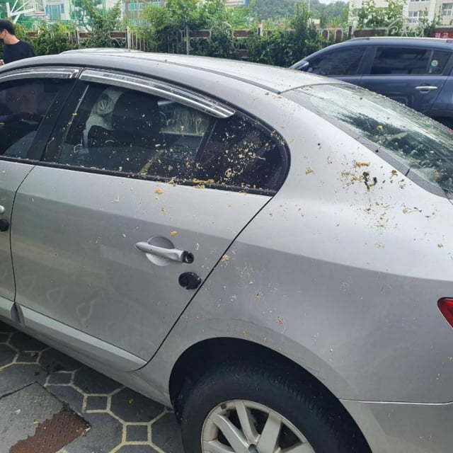 [서울=뉴시스]온라인 커뮤니티 캡처 *재판매 및 DB 금지