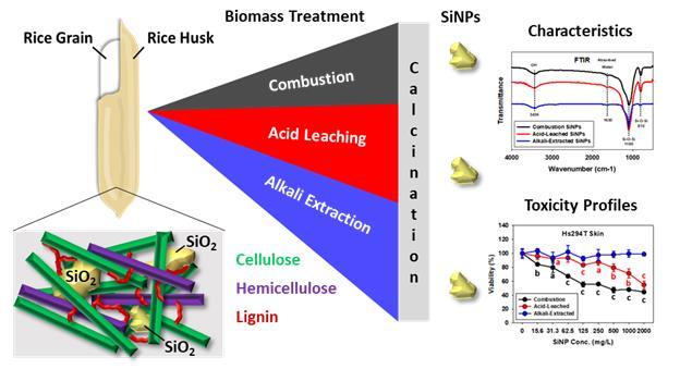 [진주=뉴시스]왕겨 유래 실리카의 3가지 합성방법과 이의 특성 연구 및 독성 분석 개략도. *재판매 및 DB 금지