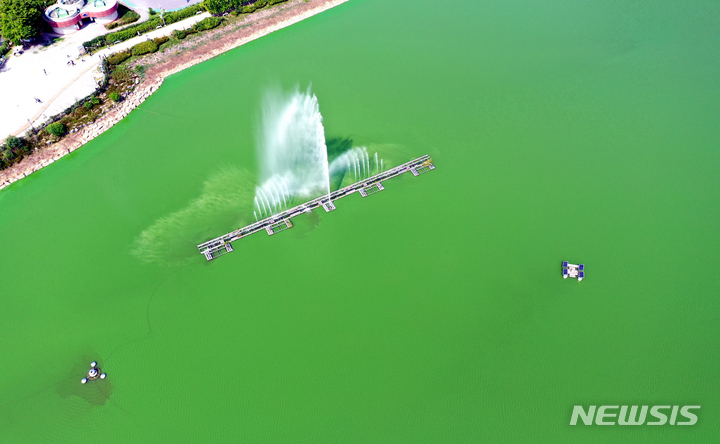 [광주=뉴시스] 류형근 기자 = 20일 오전 광주 도심 대표 공원인 서구 풍암호수공원에 녹조현상이 나타나고 있다. 2022.06.20. hgryu77@newsis.com