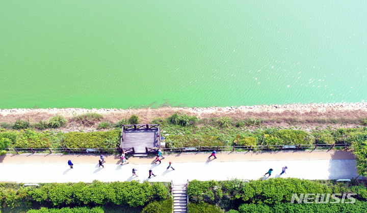 [광주=뉴시스] 류형근 기자 = 20일 오전 광주 도심 대표 공원인 서구 풍암호수공원에 녹조현상이 나타나고 있다. 2022.06.20. hgryu77@newsis.com