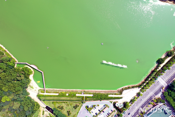 [광주=뉴시스] 류형근 기자 = 20일 오전 광주 도심 대표 공원인 서구 풍암호수공원에 녹조현상이 나타나고 있다. 2022.06.20. hgryu77@newsis.com