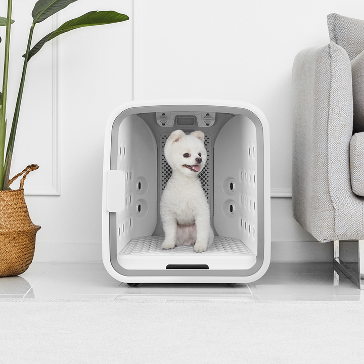 [서울=뉴시스] 넬로 펫 에어샤워 & 드라이룸. (사진=쿠쿠전자 제공) 2022.06.21. photo@newsis.com *재판매 및 DB 금지