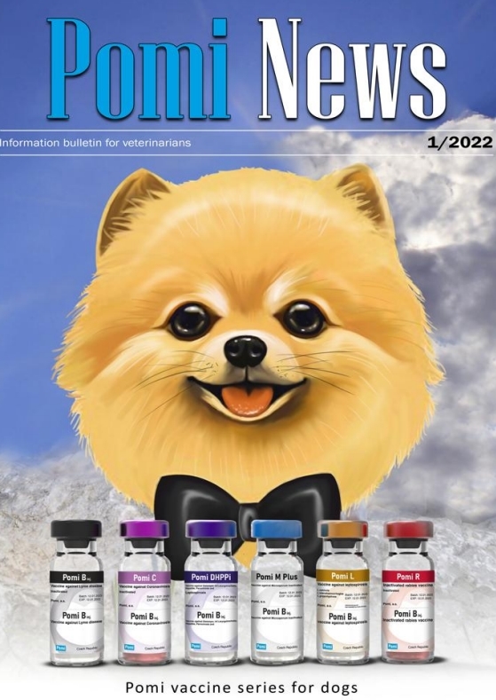 포미코인(POMI) 프로젝트 백서 내 이미지 *재판매 및 DB 금지