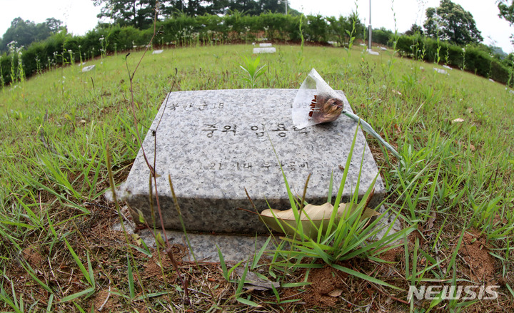 [파주=뉴시스] 추상철 기자 = 21일 경기도 파주시에 위치한 적군묘지에 놓여진 꽃이 시들어 있다. 2022.06.24. scchoo@newsis.com