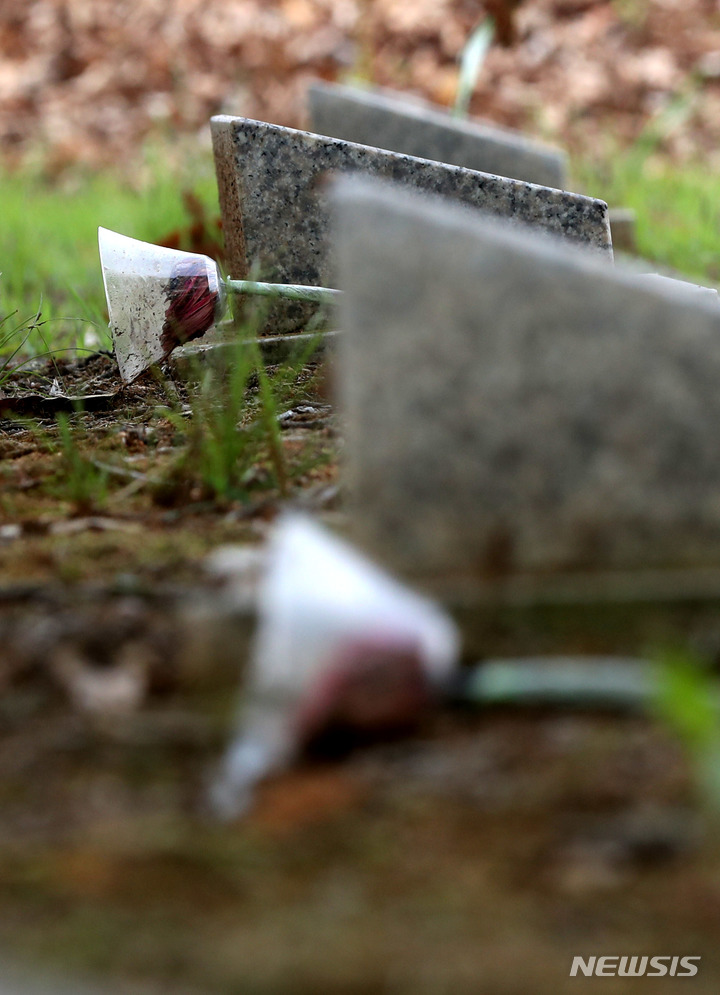 [파주=뉴시스] 추상철 기자 = 21일 경기도 파주시에 위치한 적군묘지에 놓여진 꽃. 2022.06.24. scchoo@newsis.com