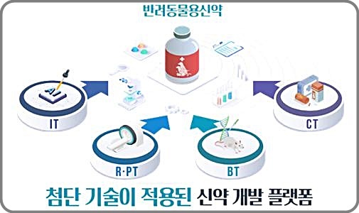 [대전=뉴시스] 반려동물용신약 개발 모식도. *재판매 및 DB 금지
