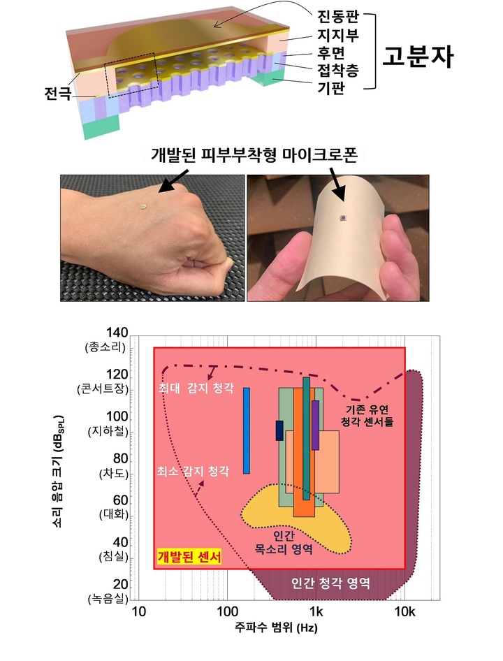 [포항=뉴시스] 강진구 기자 = 포스텍(총장 김무환)은 화학공학과 조길원 교수·이시영 박사, 기계공학과 문원규 교수·김준수 박사 공동 연구팀이 고분자 재료를 미세전자기계시스템(Microelectromechanical system, MEMS) 기술에 접목해 소리를 감지하는 마이크로폰을 개발했다고 22일 밝혔다.사진은 연구 관련 그림.(사진=포스텍 제공) 2022.06.22.photo@newsis.com *재판매 및 DB 금지
