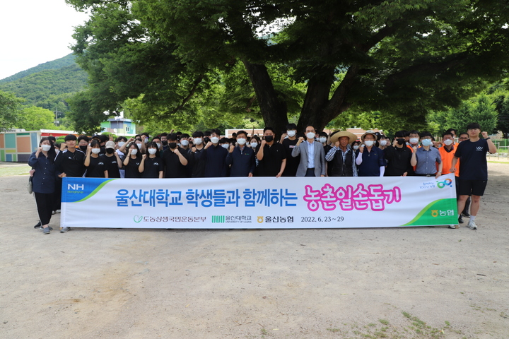 [울산=뉴시스] 유재형 기자 = 농협중앙회 울산지역본부(본부장 이정한)는 (사)도농상생국민운동본부의 지원을 받아 4일간 울산대학교 학생과 함께 농촌 일손돕기를 한다고 23일 밝혔다. 2022.06.23. (사진= 울산농협 제공)photo@newsis.com *재판매 및 DB 금지