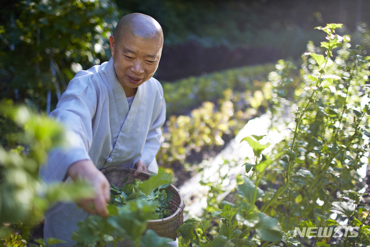 [서울=뉴시스] 정관 스님. (사진=한국불교문화사업단 제공) 2022.06.25. photo@newsis.com *재판매 및 DB 금지