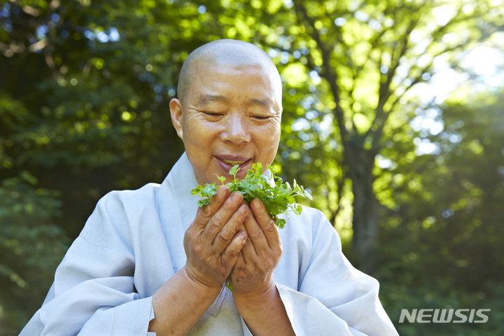 [서울=뉴시스] 전남 장성 백양사 천진암 채마밭에서의 정관 스님 모습. (사진=한국불교문화사업단 제공) 2022.06.25. photo@newsis.com *재판매 및 DB 금지