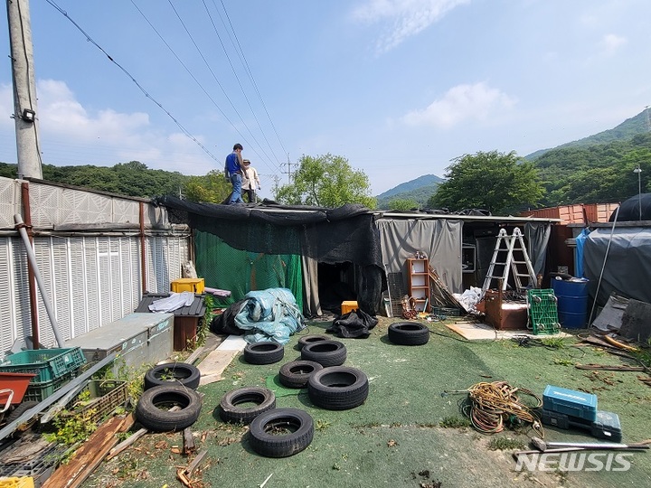 남양주 불법 개도축장. 남양주시 제공