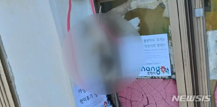 [대구=뉴시스] 동물권행동 카라 제공