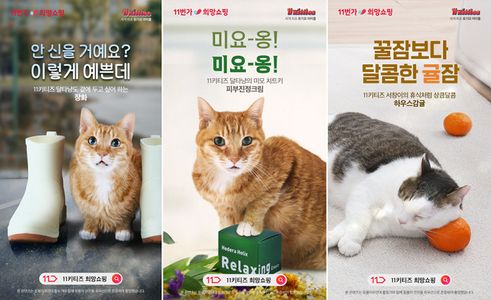 11번가, 유기묘 아이돌그룹 '11키티즈'…모델로 뜬다