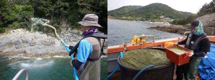[부산=뉴시스] 선상에서 해조류 포자액 살포하는 장면(왼쪽)과 해조류 포자액 제조 모습(오른쪽). (사진=한국수산자원공단 제공) *재판매 및 DB 금지
