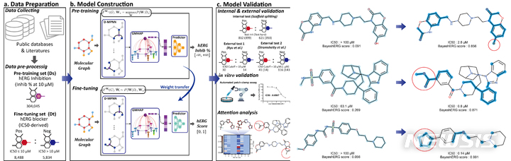 [광주=뉴시스] 광주과학기술원(지스트)은 전기전자컴퓨터공학부 남호정 교수 연구팀이 심장박동을 조정하는 유전자(hERG) 활동을 방해하는 약물을 개발 단계에서 파악할 수 있는 인공지능 예측 기술을 개발했다고 4일 밝혔다. (사진=광주과기원 제공). photo@newsis.com *재판매 및 DB 금지