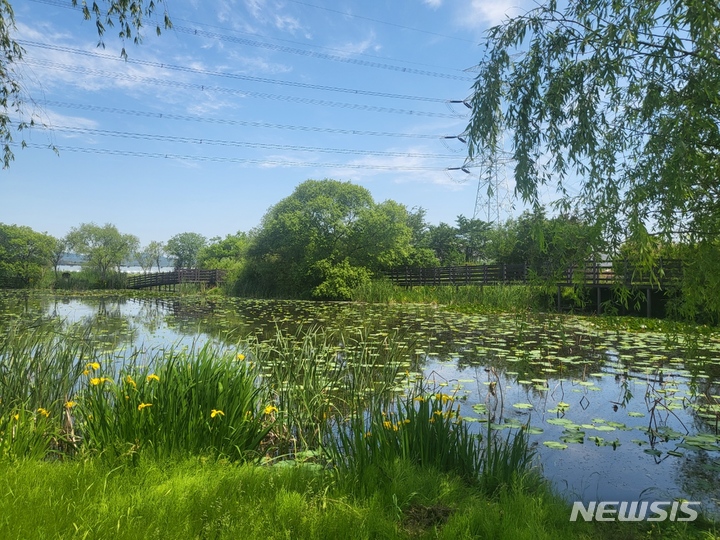 [창원=뉴시스] 경상남도 우수습지로 지정된 함안군 군북면 '뜬늪'.(사진=경남도 제공) 2022.07.05. photo@newsis.com