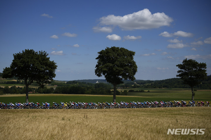 [AP/뉴시스] 프랑스 북부 뒹케르크와 칼레 사이의 밀밭 길을 뚜르드프랑스 사이클대회 선수들이 달리고 있다