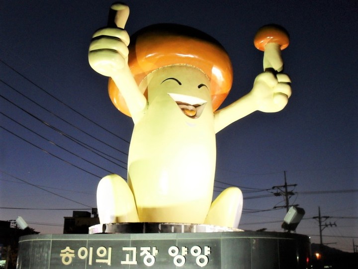 양양군, 올해 송이·연어축제 개최 일정 확정