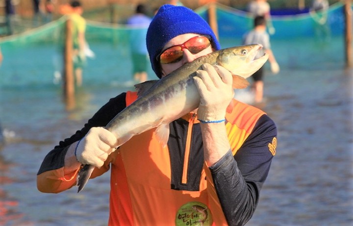 양양군, 올해 송이·연어축제 개최 일정 확정