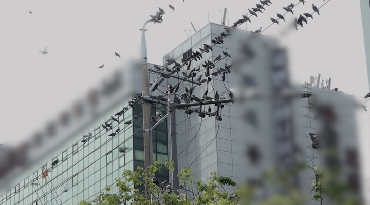 [서울=뉴시스] ‘실화탐사대' 스틸 . 2022.07.07. (사진 = MBC 제공 ) photo@newsis.com*재판매 및 DB 금지 *재판매 및 DB 금지