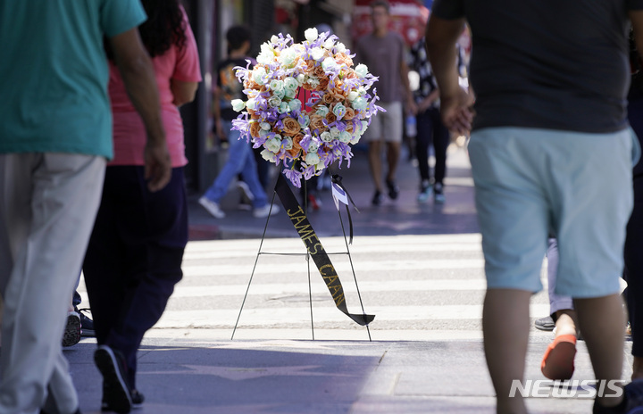 '소니 콜레오네' 제임스 칸 별세…'대부' '미저리' 명배우