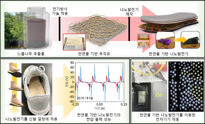[서울=뉴시스]천연물 기반 고효율 마찰전기 나노 발전기. 사진 성균관대 *재판매 및 DB 금지