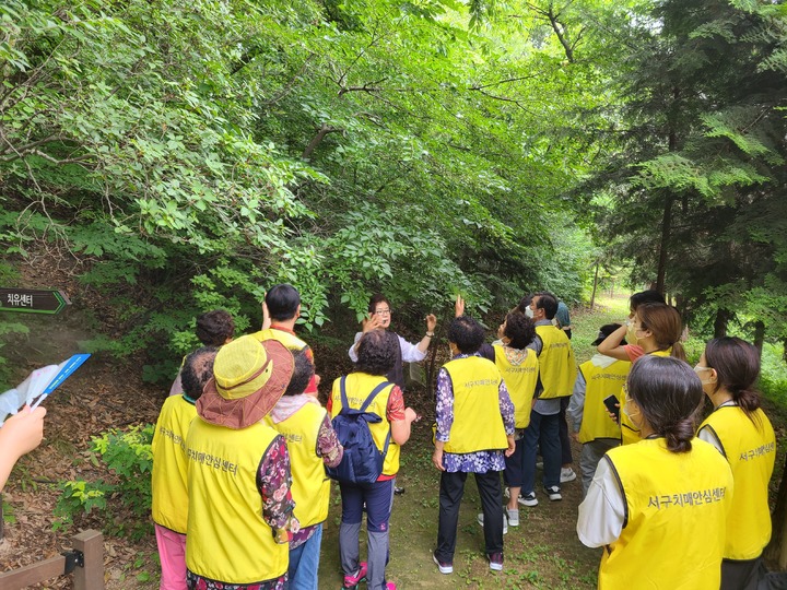 [대구=뉴시스] 고여정 기자 = 대구시 서구는 치매안심센터에서 산림 치유 프로그램을 운영했다. 2022.07.13 (사진 = 대구시 서구) ruding@newsis.com *재판매 및 DB 금지