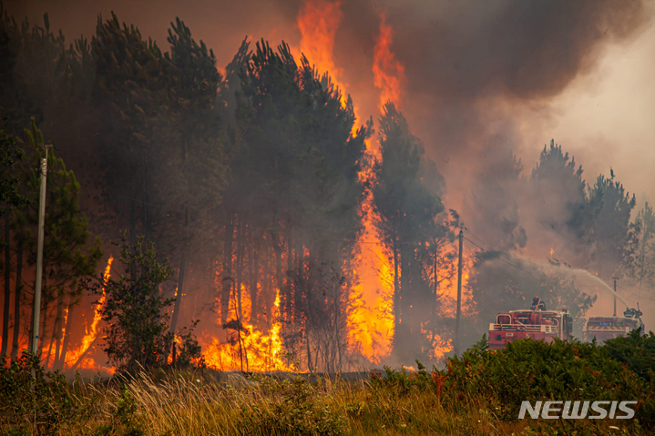 유럽 산불로 포르투갈 노부부 불길피해 달아나다 숨져
