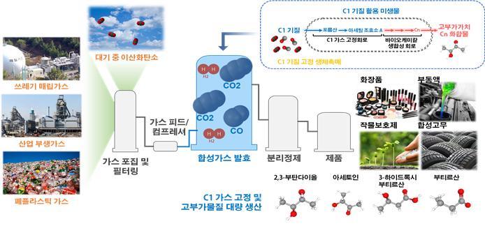 [대전=뉴시스] C1 가스 바이오-리파이너리 개요도. *재판매 및 DB 금지