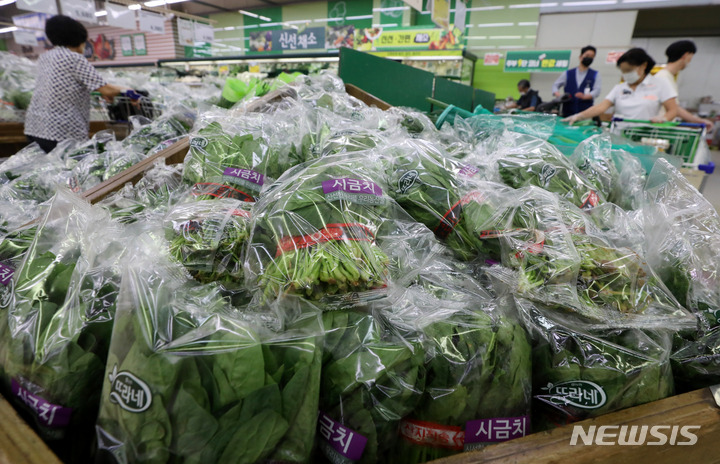 [서울=뉴시스] 추상철 기자 = 고공행진을 보이고 있는 농산물값 중에 시금치값이 크게 올랐다. 15일 오후 서울 시내 한 대형마트에 시금치가 진열돼 있다. 2022.07.15. scchoo@newsis.com