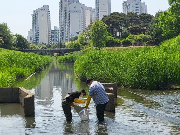 인천시 보건환경연구원이 하천 현장 채집을 하고 있다. *재판매 및 DB 금지