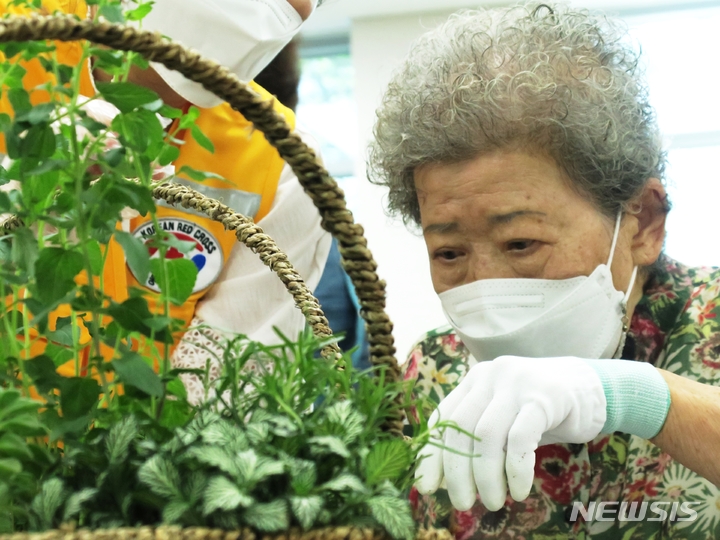 [인천=뉴시스] 김동영 기자 = 코로나19로 장기간 외부출입이 적었던 어르신들이 화분을 심고 있다. 2022.07.19. dy0121@newsis.com 