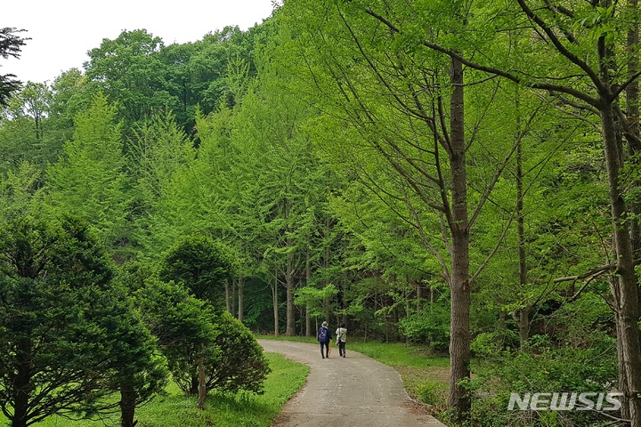 [용인=뉴시스]시민들이 청년 김대건 길을 걸으며 여유를 즐기고 있다.