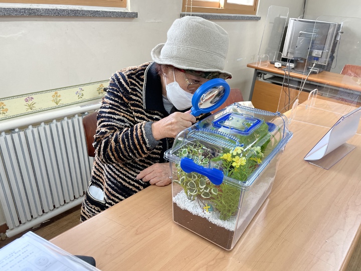 [서울=뉴시스]치유곤충 보급 시범사업에 참여한 어르신.(제공=서울시)2022.07.25. photo@newsis.com